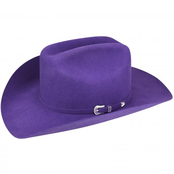 BAILEY WESTERN LIGHTNING 4X VIOLET